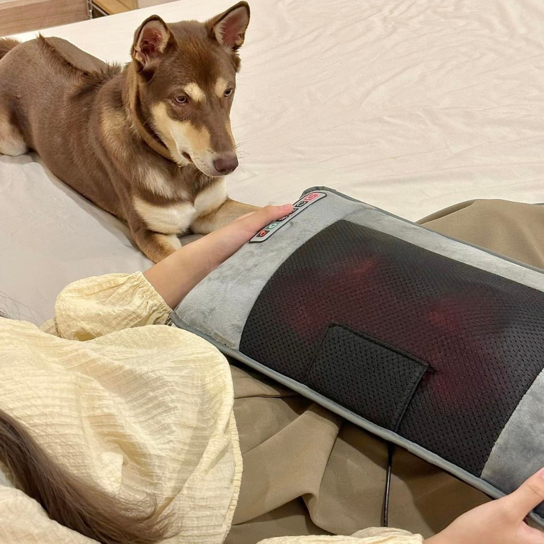 ฉันอยู่บ้านกับหมา