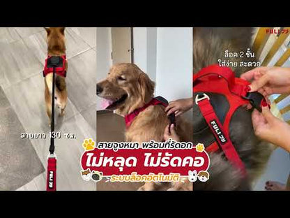 สายจูงรัดอก ยืดหดได้อัตโนมัติ - S | 2in1 Pet Harness with Built-In Leash - S